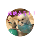 幸助（個別スタンプ：8）