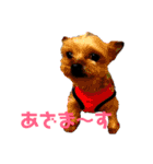 犬家族のスタンプ2（個別スタンプ：13）