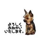 犬家族のスタンプ2（個別スタンプ：38）