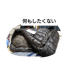 猫屋敷 わさりりあん②（個別スタンプ：6）
