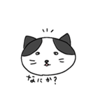 はちわれにゃんこのスタンプ⚫⚪黒白ふて猫（個別スタンプ：10）