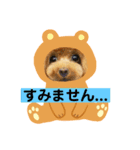 といぷー るも（個別スタンプ：5）
