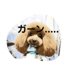 といぷー るも（個別スタンプ：7）
