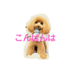 といぷー るも（個別スタンプ：8）