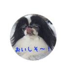 ぽぽちゃんスタンプ～♪（個別スタンプ：2）