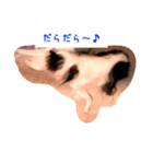 ぽぽちゃんスタンプ～♪（個別スタンプ：4）