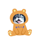 ぽぽちゃんスタンプ～♪（個別スタンプ：6）