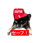チワワ娘（個別スタンプ：15）