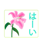 花いっぱいの大人の日常敬語【デカ文字】（個別スタンプ：8）