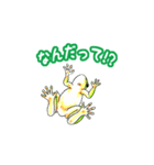かえる好きさんの目に（個別スタンプ：11）