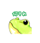 かえる好きさんの目に（個別スタンプ：13）