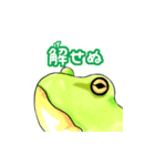 かえる好きさんの目に（個別スタンプ：14）