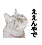 関西弁リアル猫4（個別スタンプ：15）