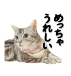 関西弁リアル猫4（個別スタンプ：17）