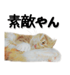 関西弁リアル猫4（個別スタンプ：20）