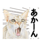 関西弁リアル猫4（個別スタンプ：27）