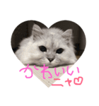 癒しのサニーさん（個別スタンプ：3）