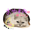 癒しのサニーさん（個別スタンプ：4）