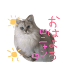 癒しのサニーさん（個別スタンプ：6）