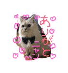 癒しのサニーさん（個別スタンプ：8）