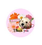 Raimuという名の犬4（個別スタンプ：1）