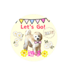 Raimuという名の犬4（個別スタンプ：4）