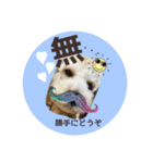 Raimuという名の犬4（個別スタンプ：5）