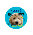 Raimuという名の犬4（個別スタンプ：6）
