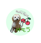 Raimuという名の犬4（個別スタンプ：7）