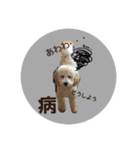 Raimuという名の犬4（個別スタンプ：8）