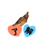 LoveKunと会話（個別スタンプ：1）