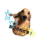 LoveKunと会話（個別スタンプ：4）