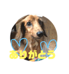 LoveKunと会話（個別スタンプ：5）
