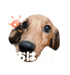 LoveKunと会話（個別スタンプ：6）