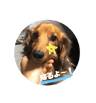 LoveKunと会話（個別スタンプ：10）