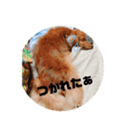 LoveKunと会話（個別スタンプ：17）