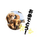 LoveKunと会話（個別スタンプ：20）