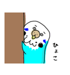 いんこちゃんだよ（個別スタンプ：6）