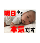 まると愉快な仲間たち2（個別スタンプ：24）