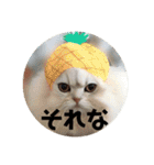 まると愉快な仲間たち2（個別スタンプ：28）