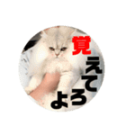 まると愉快な仲間たち2（個別スタンプ：29）