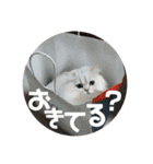 まると愉快な仲間たち2（個別スタンプ：30）