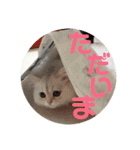 まると愉快な仲間たち2（個別スタンプ：31）