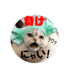 まると愉快な仲間たち2（個別スタンプ：32）
