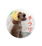 まると愉快な仲間たち2（個別スタンプ：34）