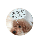 まると愉快な仲間たち2（個別スタンプ：37）