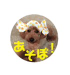 まると愉快な仲間たち2（個別スタンプ：38）