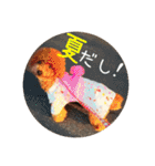 まると愉快な仲間たち2（個別スタンプ：40）