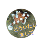 海の中の可愛い魚たちと日常会話（個別スタンプ：7）