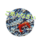 海の中の可愛い魚たちと日常会話（個別スタンプ：8）